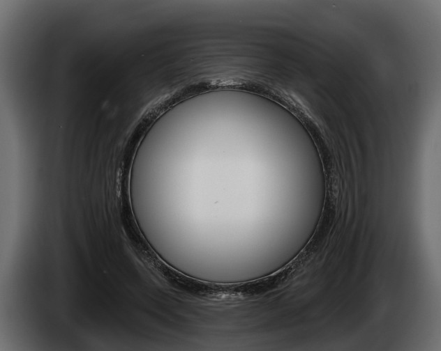 X0000085080543200703051110