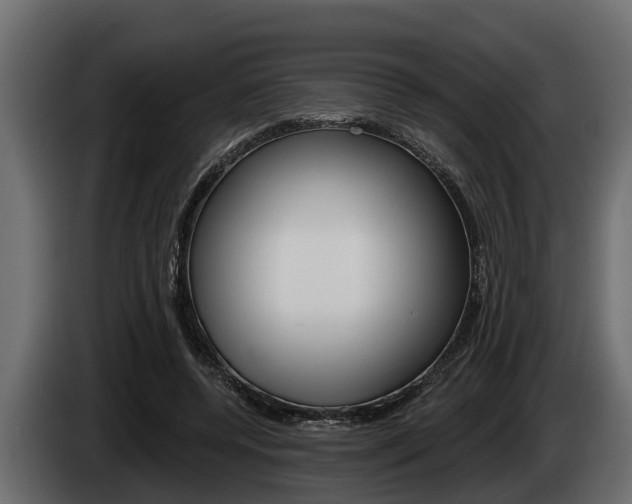 X0000085080544200703051110