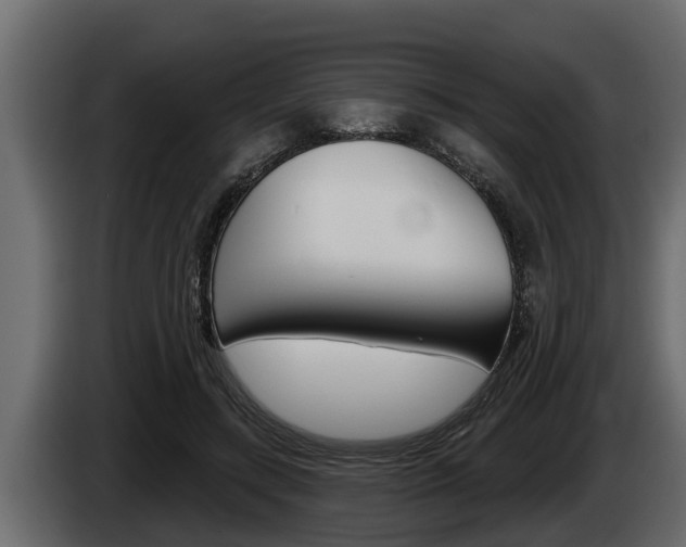 X0000085080547200703051110