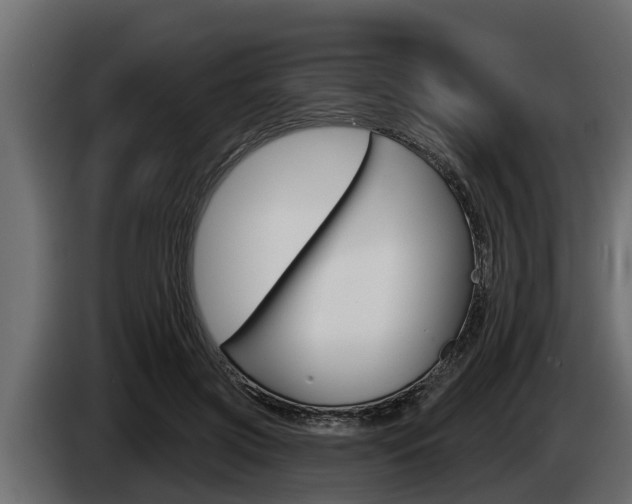 X0000085080549200703051110