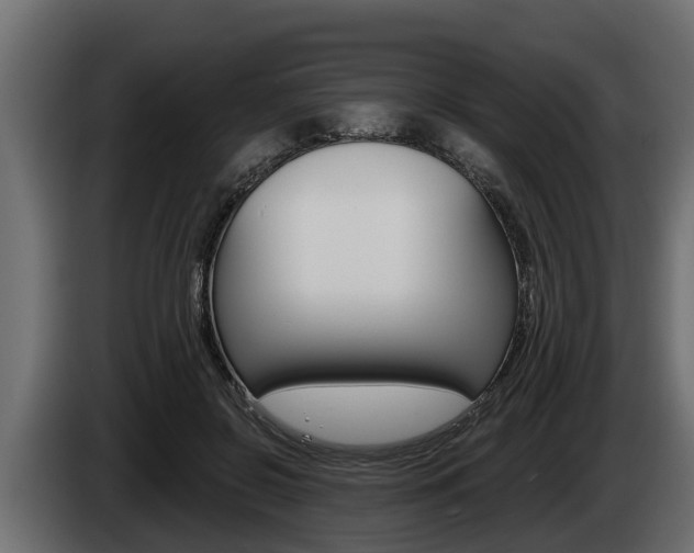 X0000085080550200703051110