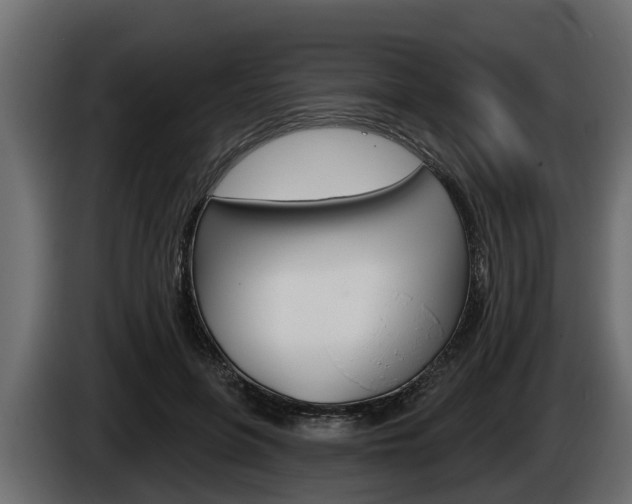 X0000085080551200703051110
