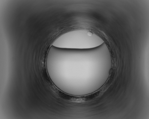 X0000085080553200703051110