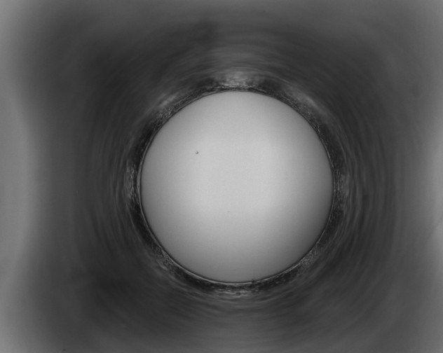 X0000085080554200703051111
