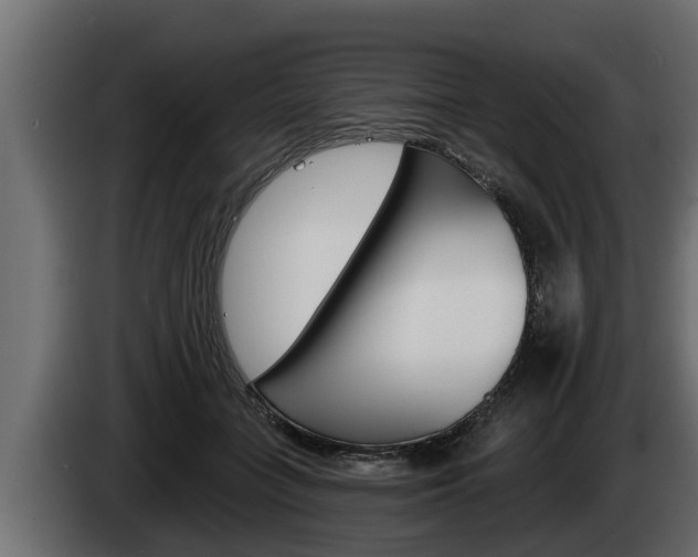 X0000085080555200703051111