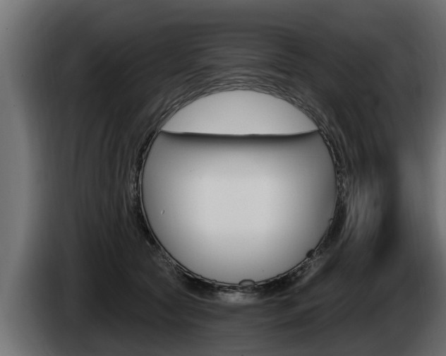 X0000085080561200703051111