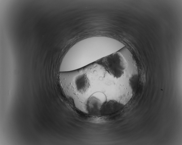 X0000085080569200703051111
