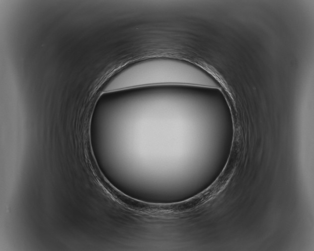 X0000085080577200703051110