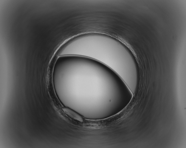 X0000085080580200703051110