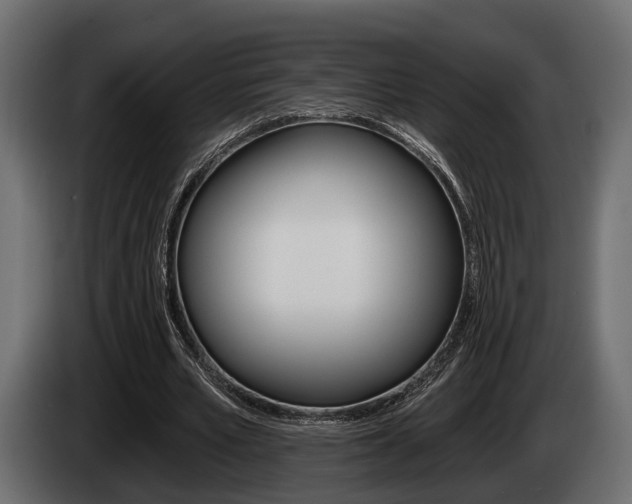 X0000085080581200703051110