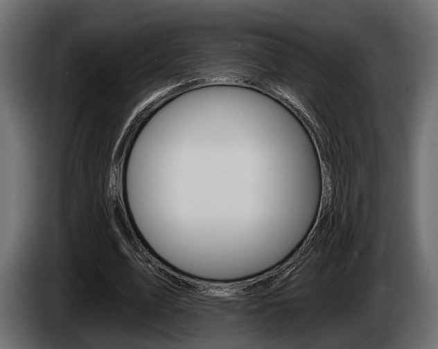 X0000085080583200703051110