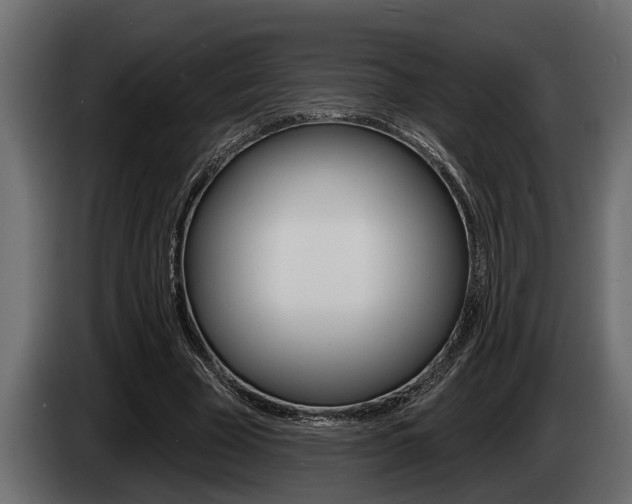 X0000085080585200703051110