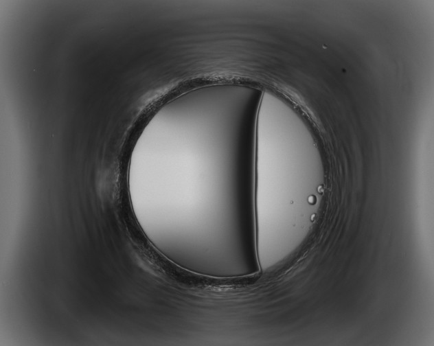 X0000085080588200703051110