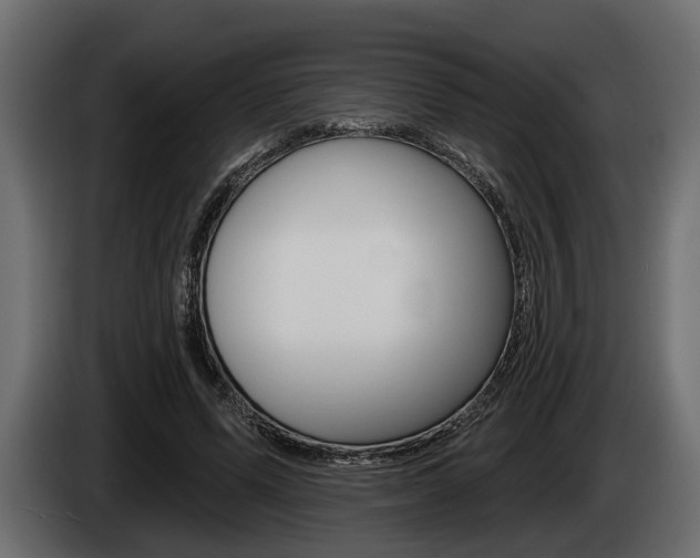 X0000085080591200703051110