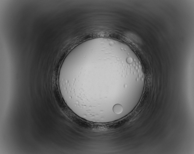 X0000085080594200703051110
