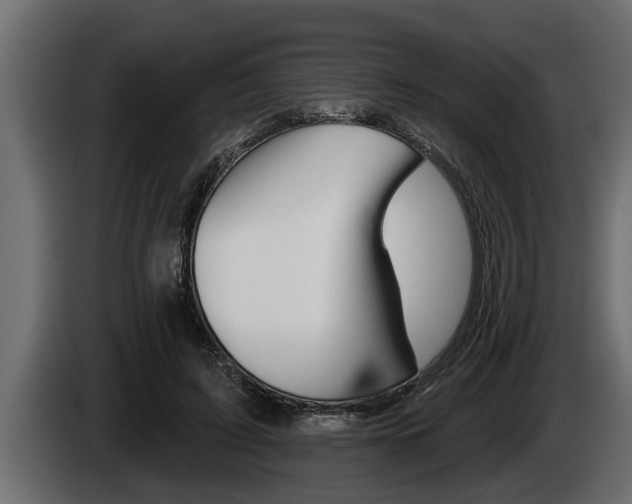 X0000085080595200703051110