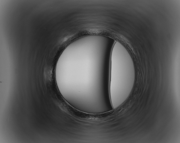 X0000085080596200703051110