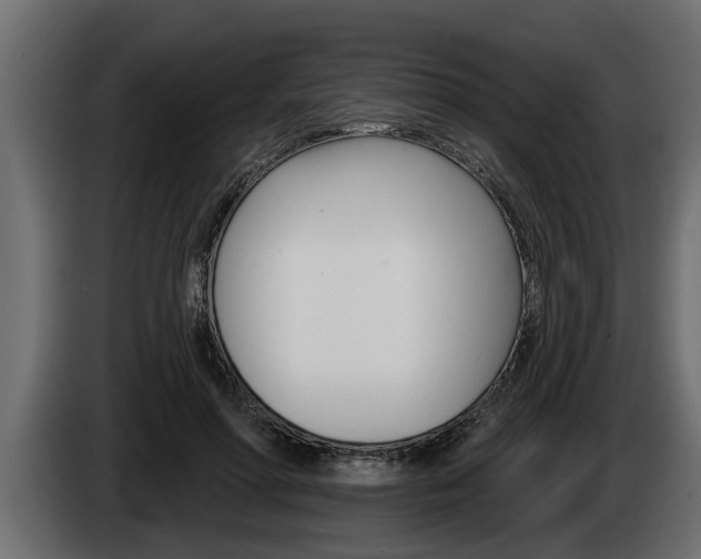 X0000085080598200703051110