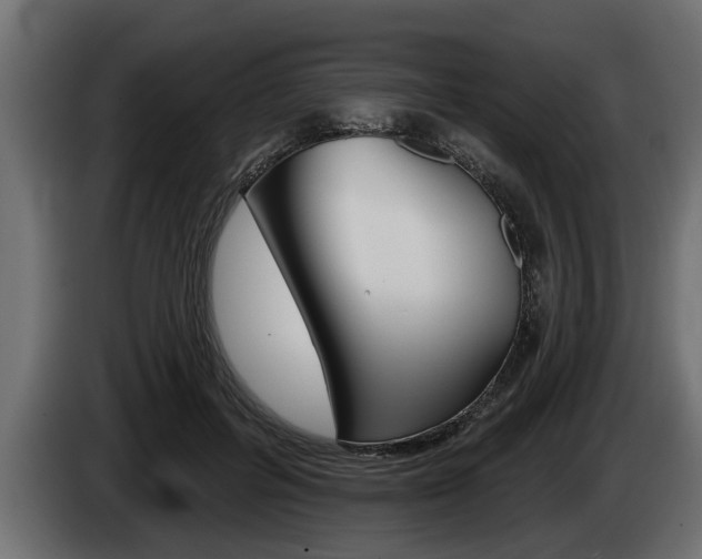 X0000085080600200703051110