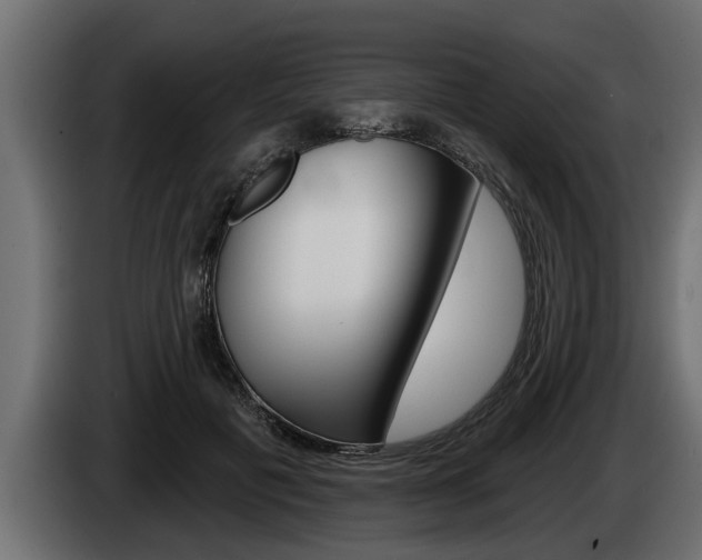 X0000085080601200703051110