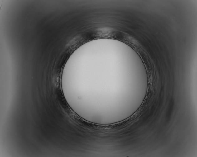 X0000085080602200703051110