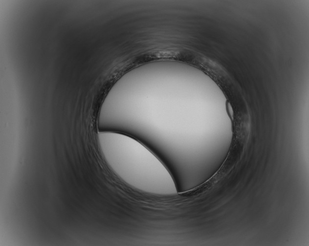 X0000085080604200703051110