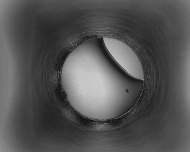 X0000085080605200703051110