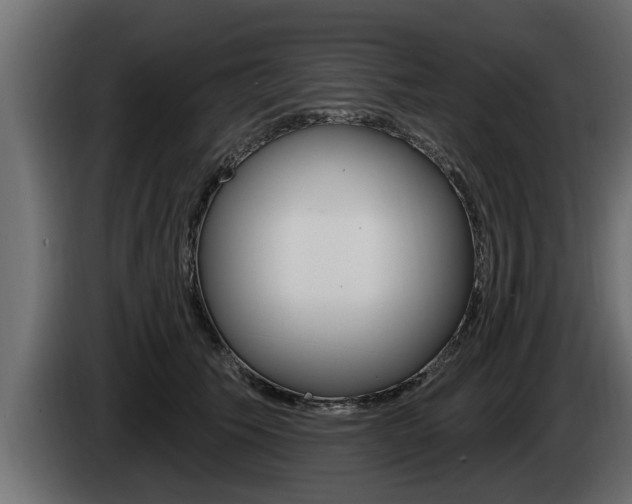 X0000085080609200703051110