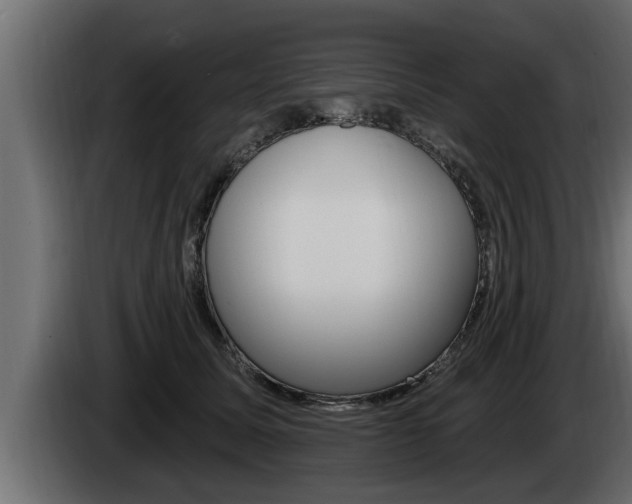 X0000085080611200703051110