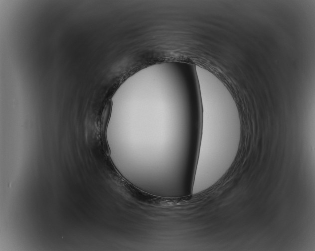 X0000085080613200703051110