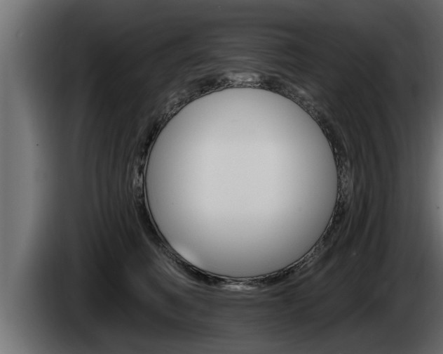 X0000085080614200703051110