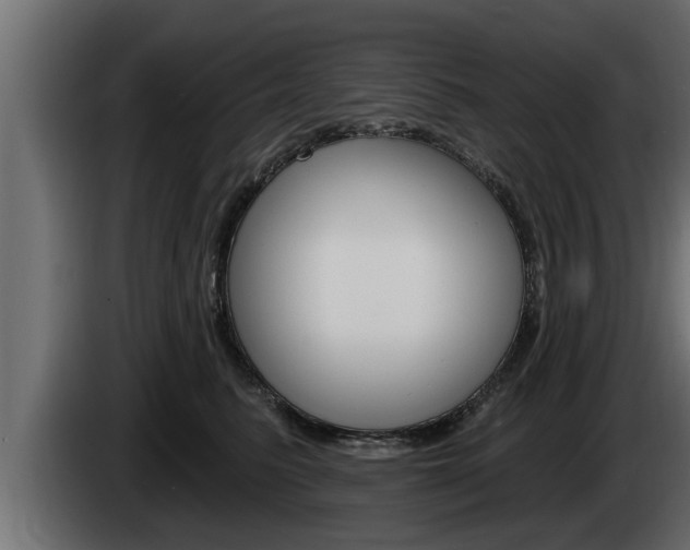 X0000085080615200703051110