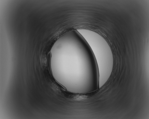 X0000085080617200703051110