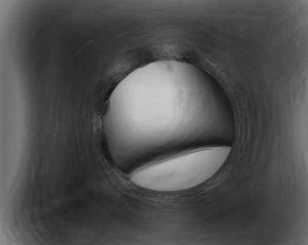 X0000085080624200703051109