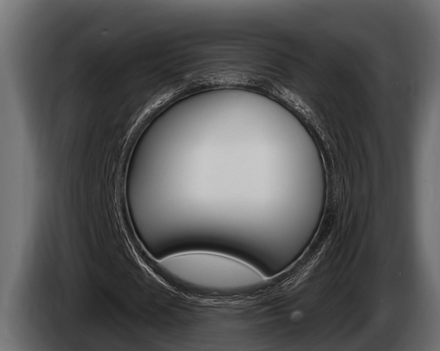 X0000085080625200703051109