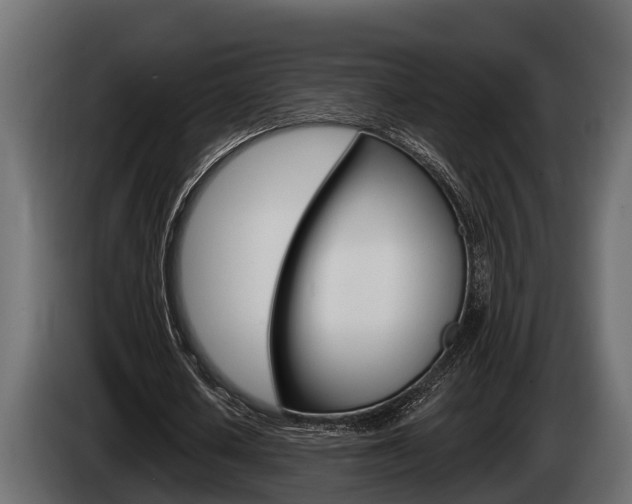 X0000085080626200703051109