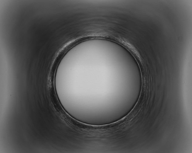 X0000085080628200703051109