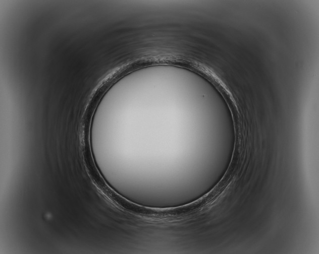 X0000085080629200703051109