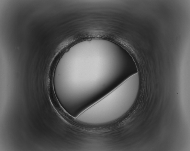 X0000085080630200703051109