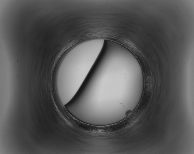 X0000085080634200703051109