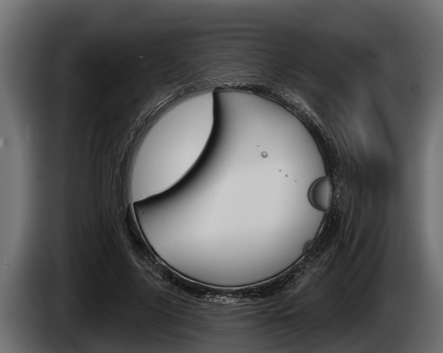 X0000085080635200703051109