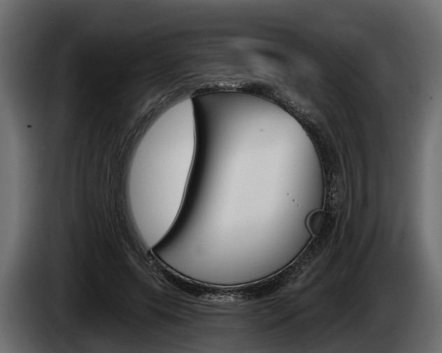 X0000085080639200703051109