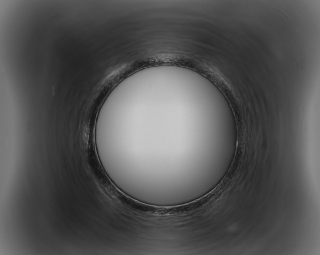 X0000085080640200703051109