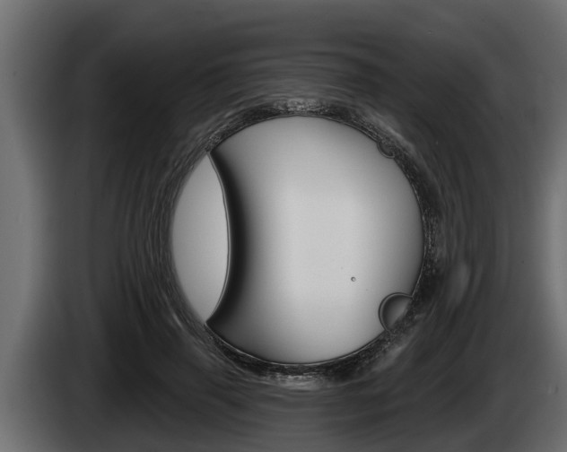 X0000085080645200703051109