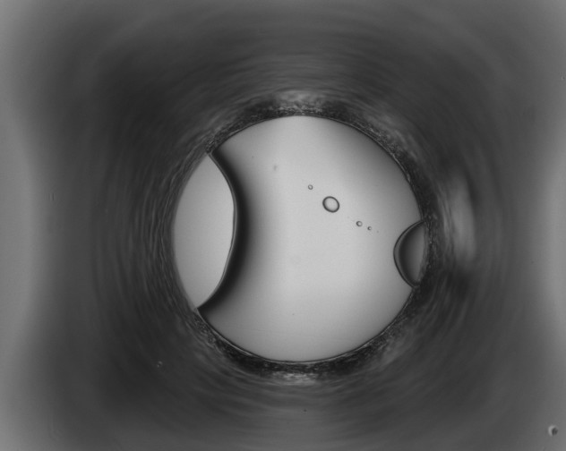 X0000085080649200703051109