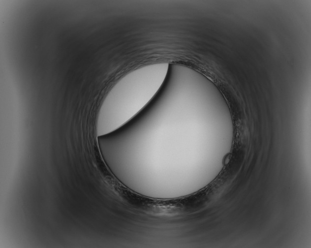 X0000085080650200703051109