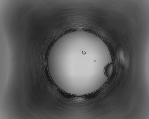 X0000085080651200703051109