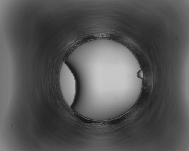 X0000085080652200703051109