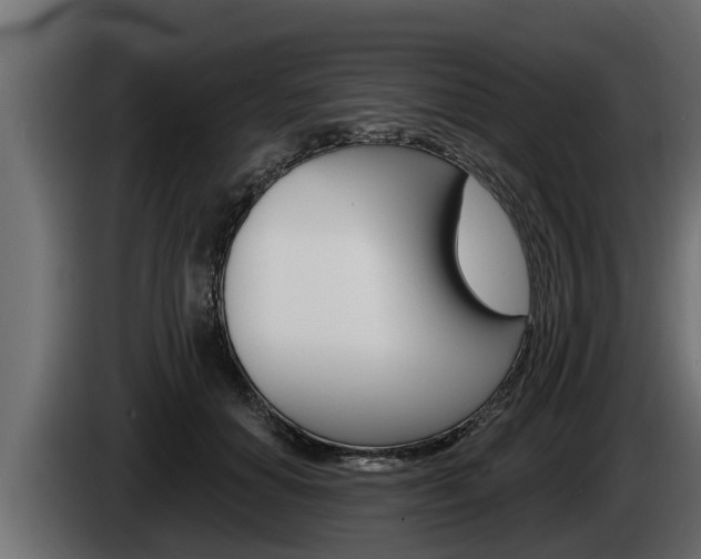 X0000085080654200703051109