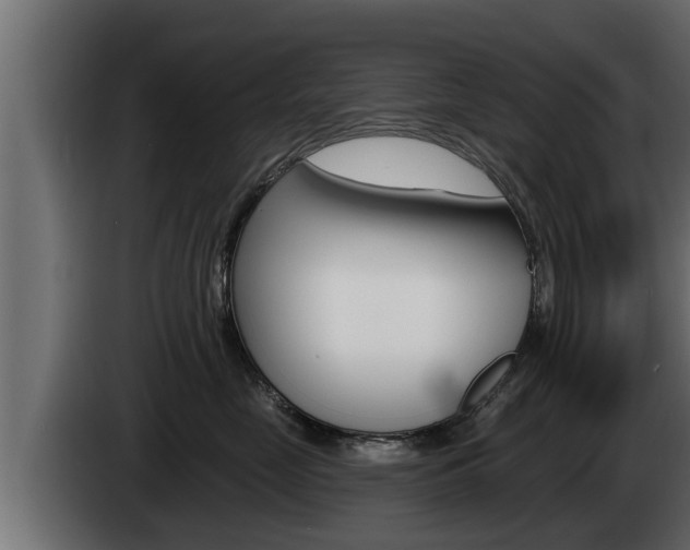 X0000085080669200703051109